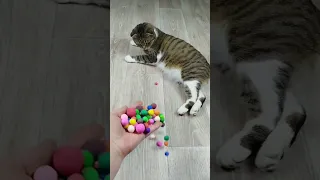 Cat Barsik Beads 🔵🟡🔴 Reverse video ASMR