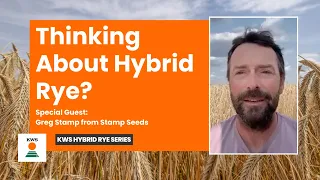 Thinking About Hybrid Rye What Every Grower Should Know This Fall with Greg Stamp KWS Spotlight