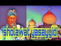 Download Lagu sholawat yasayyidi