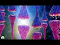 Download Lagu 528hz, Miracle Tone , Dna Repair \u0026 Healing, Nerve And Cell Regeneration, Complete Body Healing