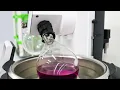 Chemical Process Technology Pharma