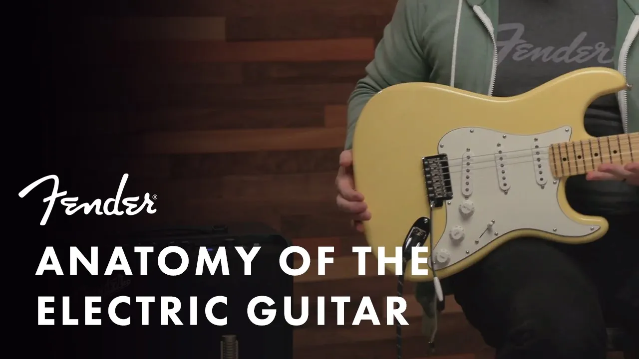 Anatomy of the Electric Guitar | Fender