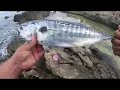 Download Lagu Duo Spearhead Ryuki 80s Little tunny spinning from the rock Montenegro Shore Fishing