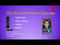 SQL Insert Into NULL Values Update Delete