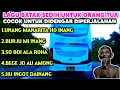 Download Lagu LAGU BATAK VIRAL \u0026 SERING DI PUTAR DIDALAM BUS SUMATERA.UNANG MANARITA HO INANG.