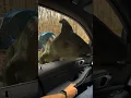 Download Lagu I would literally forget how to drive. Jurassic World: Chaos Theory is now playing!