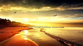 أجمل موسيقى كورية هادئة مريحة للاعصاب Relaxing Videos 