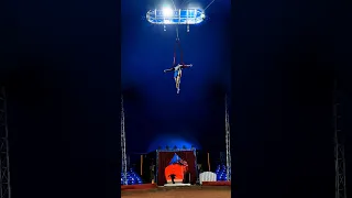 Solo Aerial Training Straps Duo Acro 