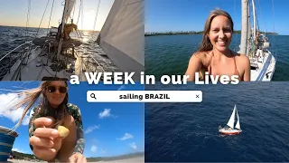 ⛵️ Sails and Snails: Sailing the Brazilian coast 🇧🇷Ep.268