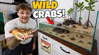 Catching CRITTERS for My NEW Saltwater AQUARIUM!!