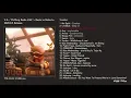 V.A. / Chillhop Radio Vol2 ～Beats to Relax to　ティーザー