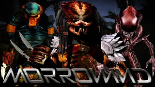 This is Morrowind No Really