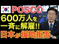 Download Lagu 【海外の反応】ポスコ600万人を一斉に解雇！日本が援助拒否で隣国経済終了へ…【にほんのチカラ】
