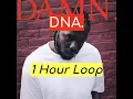Download Lagu Kendrick Lamar - DNA (1 HOUR)