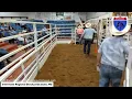 Interstate Regional Stockyards Cuba MO