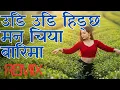 Lagu Udi Udi Hidchha Man Chiya Barima Remix - उडि उडि हिड्छ मन चि या बारि मा