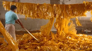 why melted bugs coat your favorite candy