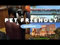 The best pet friendly in Laughlin Nevada