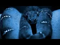 Making Hacking Script with Python Part Menu Commands
