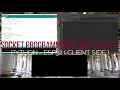 SOCKET PROGRAMMING CLIENT SERVER CLIENT SIDE ESP32 - PYTHON