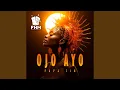 Download Lagu Ojo Ayo (Extended Mix)