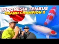 Lagu #2 JEPANG | INDONESIA TEMBUS GRAND CHAMPION..!! KOI SIAPA JUARANYA ??