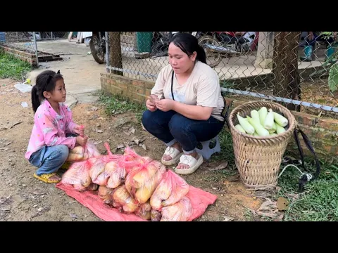Download MP3 Harvest the sticky corn garden and sell it,Life of a young couple.| Phuc and Sua