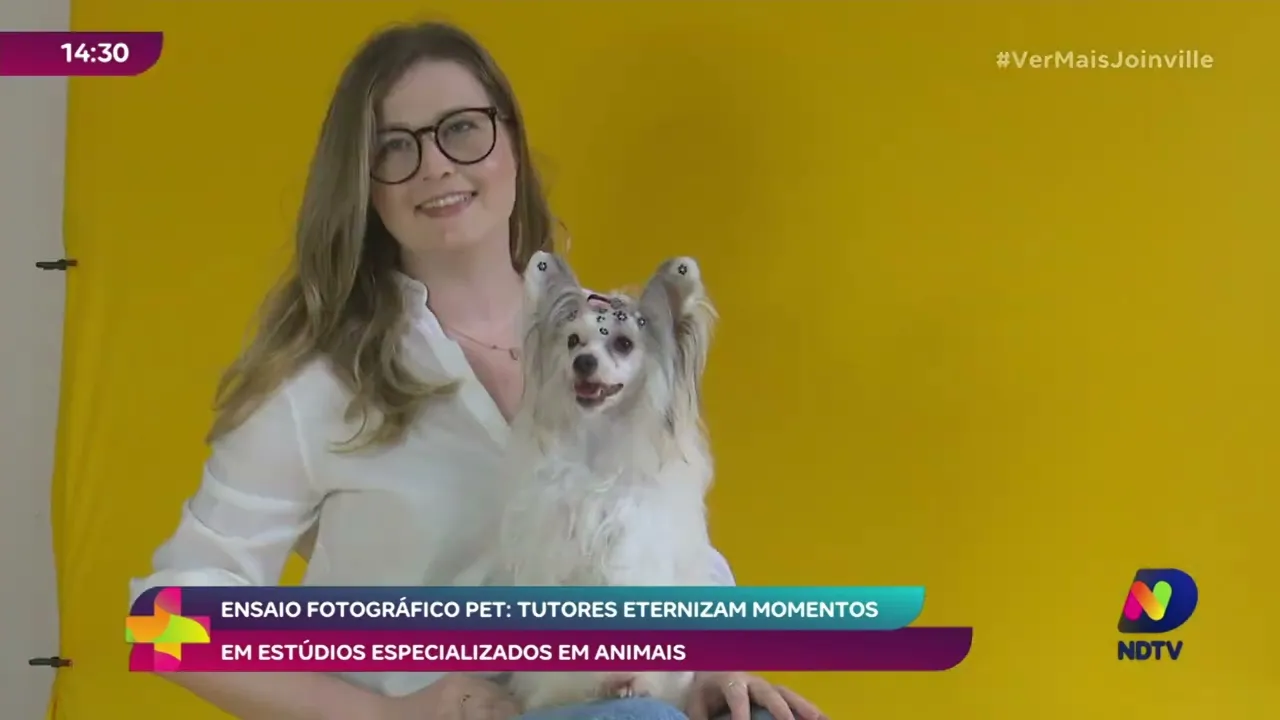 Pets em foco: a tendência dos ensaio fotográficos para cães e gatos