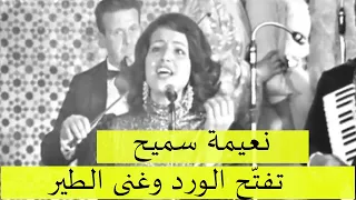 نعيمة سميح تفت ح الورد وغنى الطير فيديو صوت وصورة 