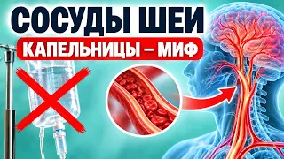 Сосуды шеи и мозга: что реально помогает, а капельницы — деньги на ветер