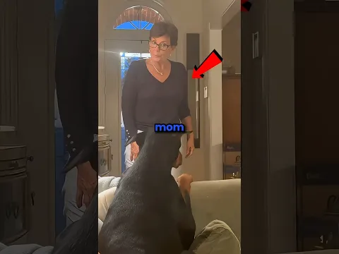 Never say mom Infront of your dog 😭🤱🏾#shorts