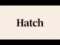 Hatch Meaning and Definition