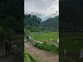 Download Lagu Susana Desa Di Tengah Hamparan Sawah Dan Perbukitan Pelosok Kendal Jawa Tengah #short