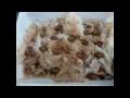 Planting the Future How to grow germinate your own Oak trees from Acorns FOLLOW UP