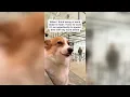 Work Memes To Watch Instead Of Working