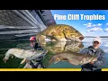 Pine Cliff Trophy Fishing Adventure