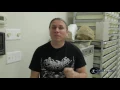 Ball Python Breeding Secrets SnakeBytesTV