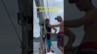 Snapped prop shaft and ripped jib. Fixing Ama-gi after the nightmare. #sailing #caribbean #fix