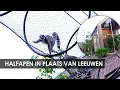Lagu Artis heropent Kerbertterras: halfapen, schildpadden en luchtbruggen