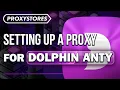 Guide How to Setup a Proxy in Dolphin Anty ProxyStores