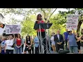 Deneen Borelli