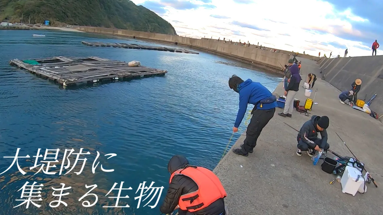 大漁に釣れる話題の大堤防は夜になると更にスゴかった!!