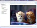 Java Images Resource folders and JARs
