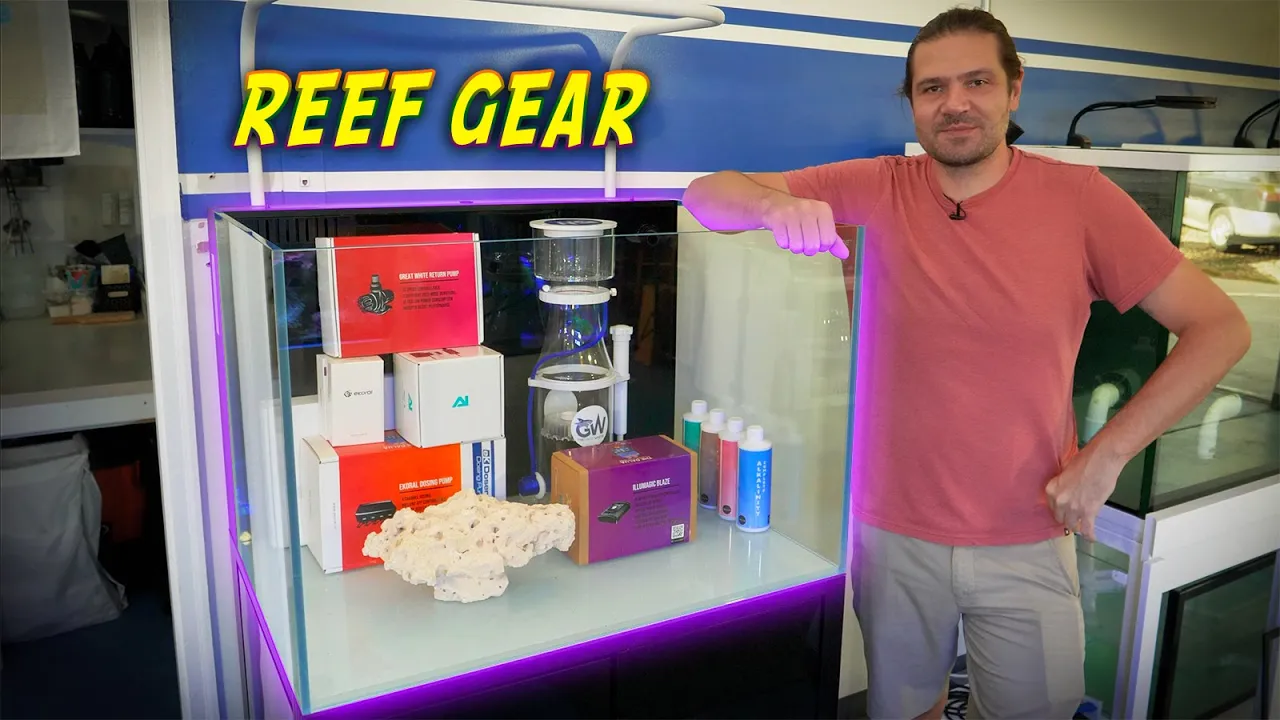 Building the Australian Reef Tank Tank Pt. 1: Installing all the Equipment