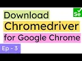 How to download chromedriver in Selenium How to invoke the chrome browser Selenium Ninja