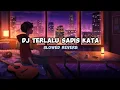 Download Lagu DJ TERLALU SADIS KATA (Slowed \u0026 Reverb)