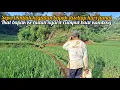 Download Lagu HIDUP DI DESA || ngarit rumput bareng bapak pulangnya langsung ngerujak