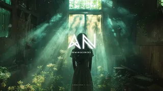 aurora night reminiscences