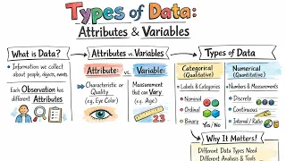 002 Types of data Attributes and Variables Data Numeric and Categorical Data - Lean Six Sigma
