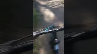 24 in Schwinn sidewinder review and we smash thru the Fullerton loop perverse mountain biking